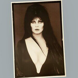 ELVIRA Mistress Of The Dark Wall Poster Gothic Photograph